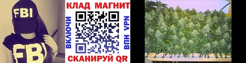 Купить закладку Марихуана  ГЕРОИН  COCAIN  Гашиш  Мефедрон  APVP  Кувшиново