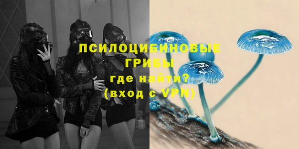 spice Богданович