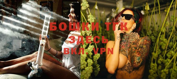 spice Богданович