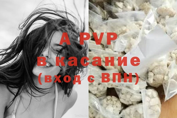 spice Богданович