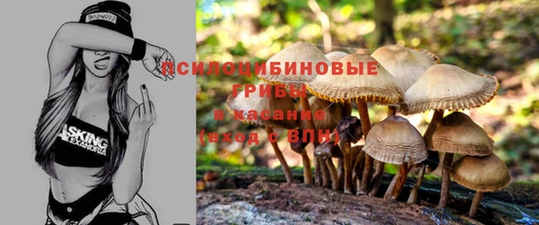 spice Богданович