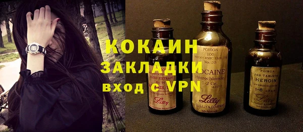 spice Богданович